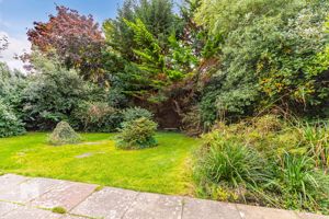 Photo 9- click for photo gallery